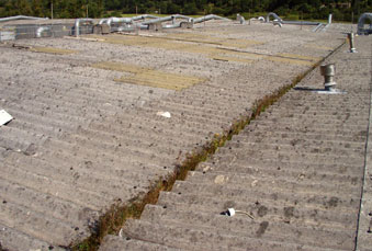 Asbestos cement roofs need not be a liability if properly treated